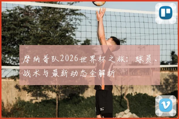 摩纳哥队2026世界杯之旅:球员、战术与最新动态全解析