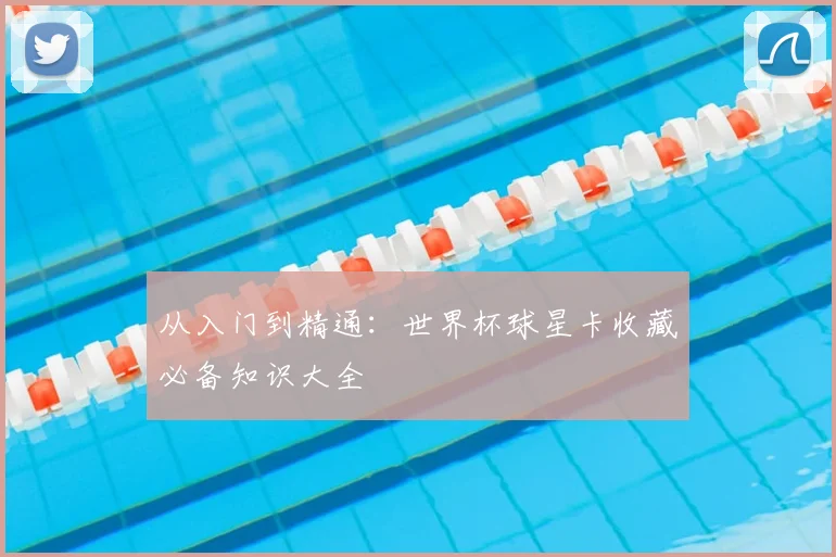 从入门到精通：世界杯球星卡收藏必备知识大全